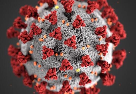 Vienna sentenced for home office Vienna sentenced for home office